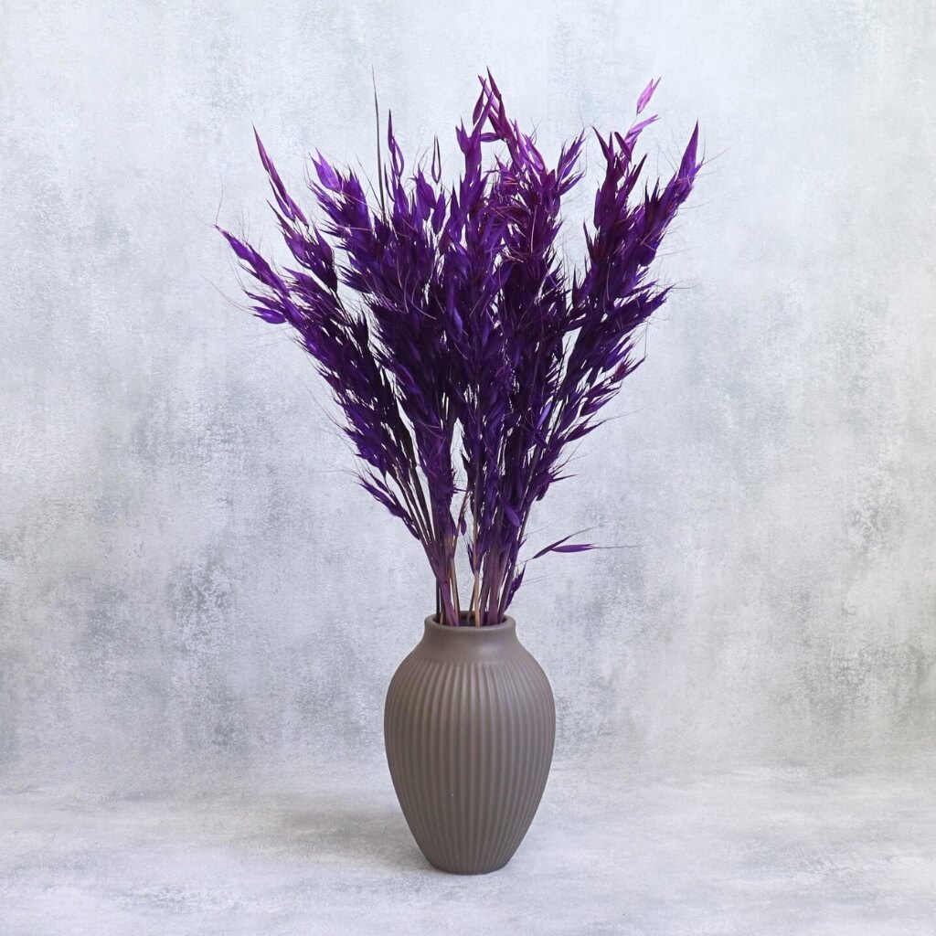 Sušená Avena selvatica – fialová, přírodní planý oves pro dekorace, věnce a kytice